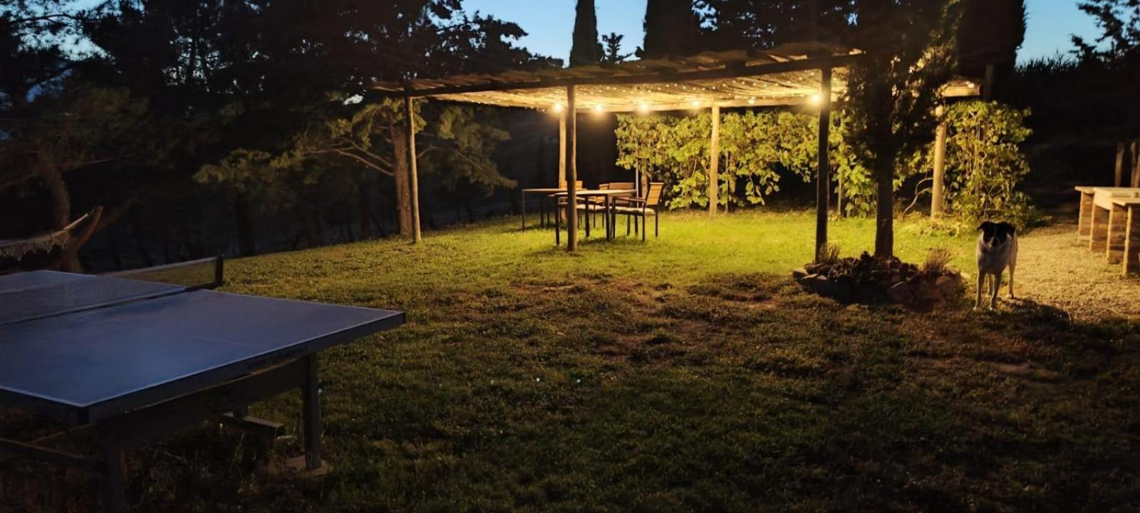 Casa Al Maestro B&B Radicofani Exteriér fotografie